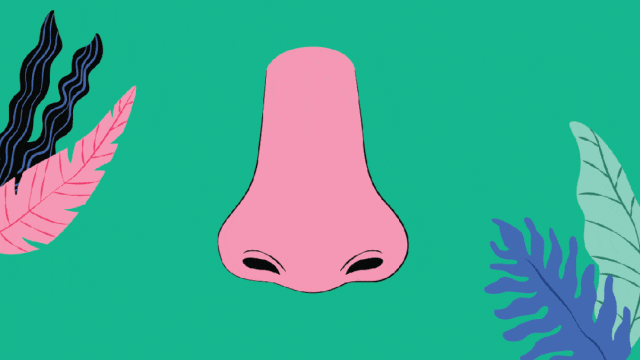 7.gif