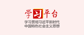 学习平台